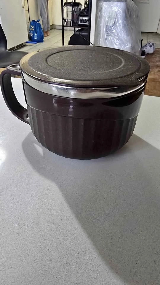 Brand New Stainless Steel Insulated Soup & Noodle Mug with Lid