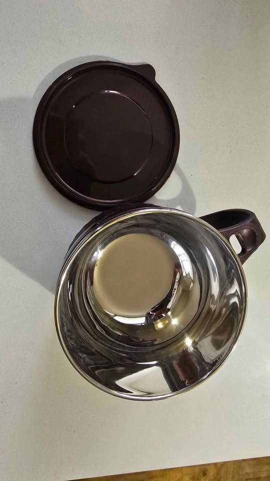 Brand New Stainless Steel Insulated Soup & Noodle Mug with Lid - photo 2