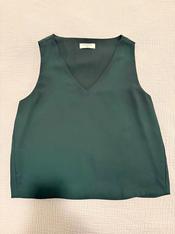 Aritzia Babaton Blouse