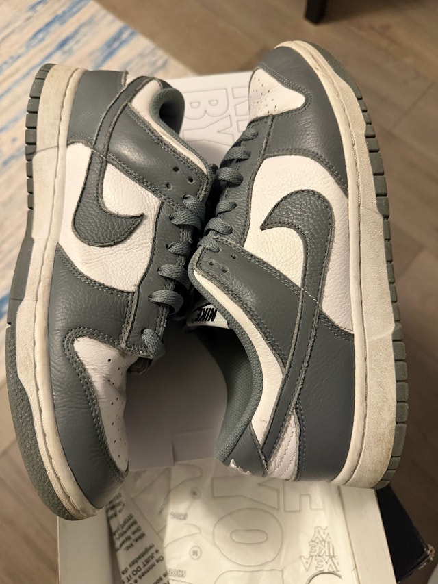 Nike dunk low sz10