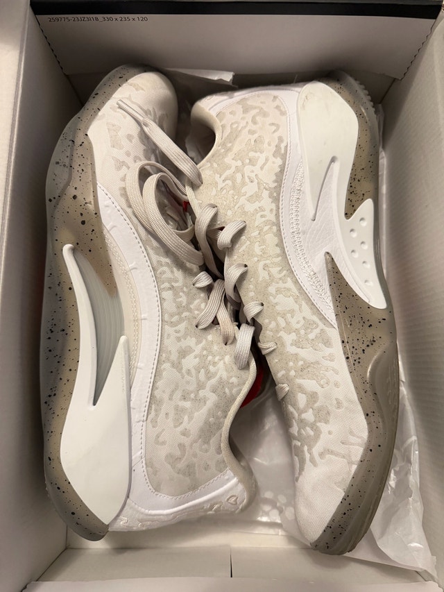 Jordan Zion 3 sz10.5