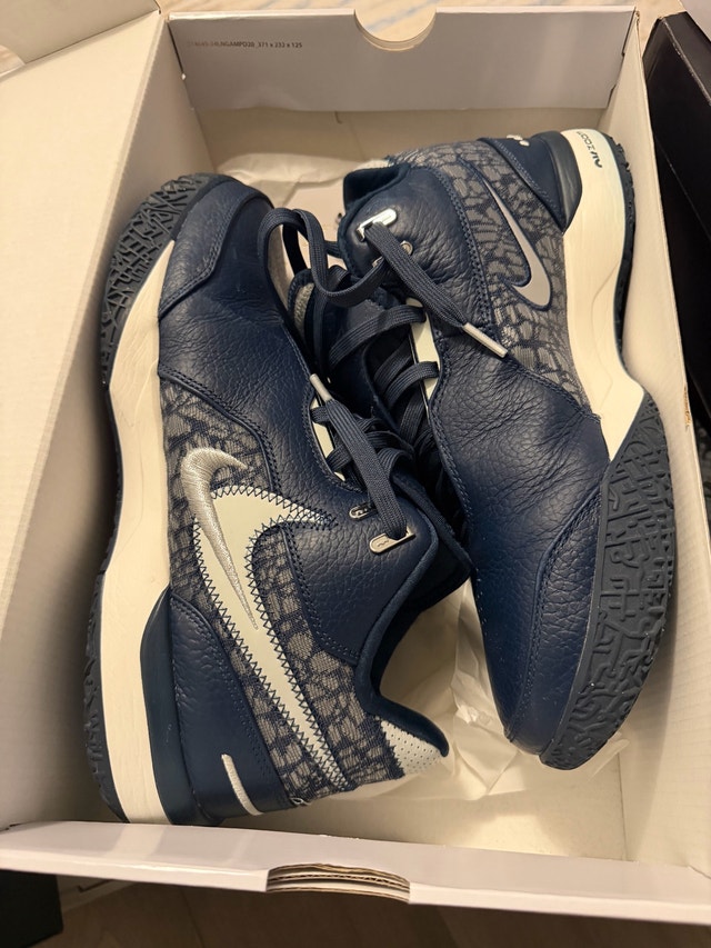 ZM LeBron NXXT Gen AMPD sz10.5