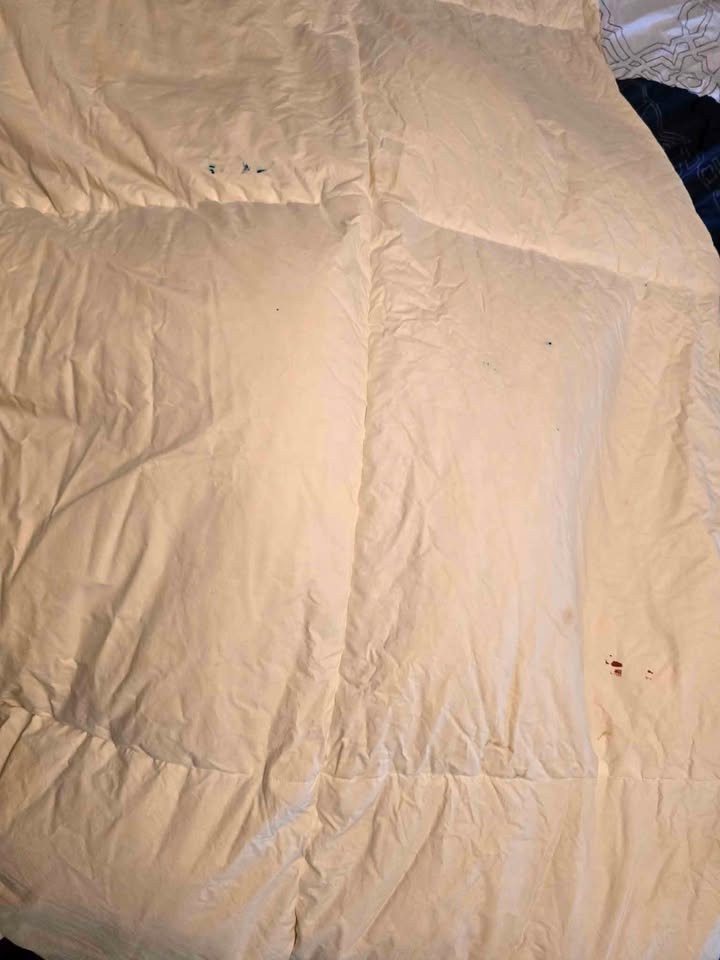 Drycleaned twin feather duvet heavy - 2