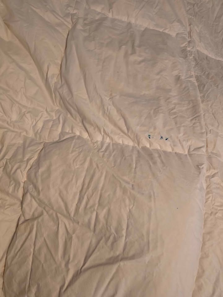 Drycleaned twin feather duvet heavy - 2 - photo 2