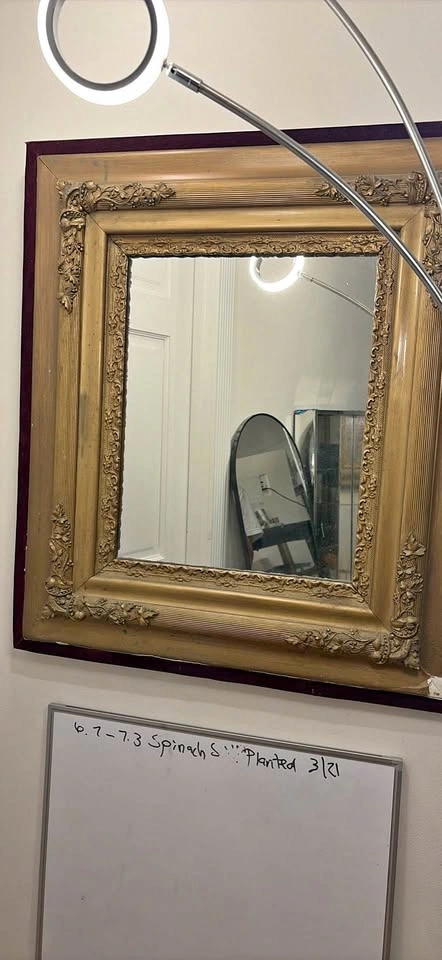 Ornate Gold Frame Wall Mirror