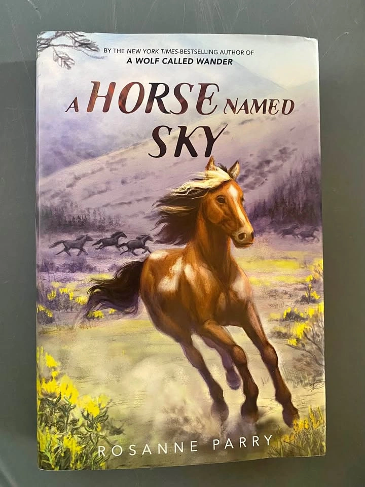 A Horse Named Sky Book - Hardcover