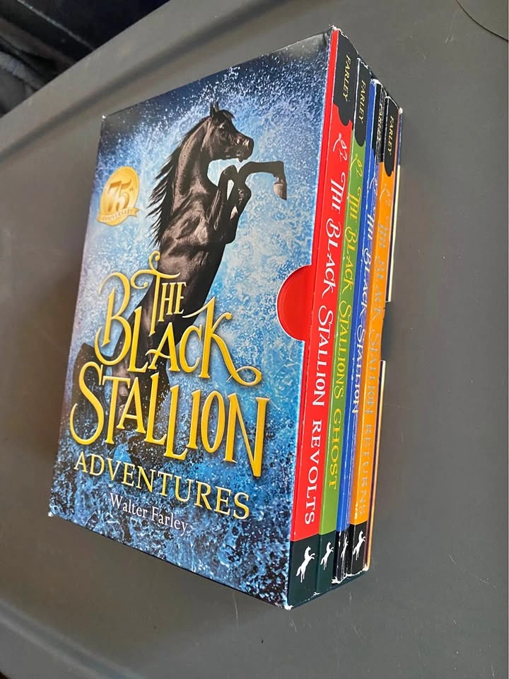 Black Stallion Book Set