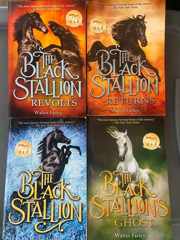 Black Stallion Book Set - photo 2