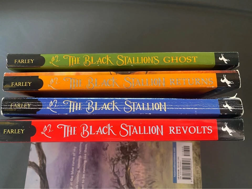 Black Stallion Book Set - photo 3