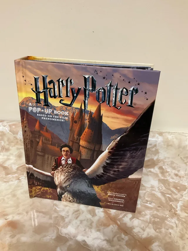 Harry Potter pop-up book thumbnail
