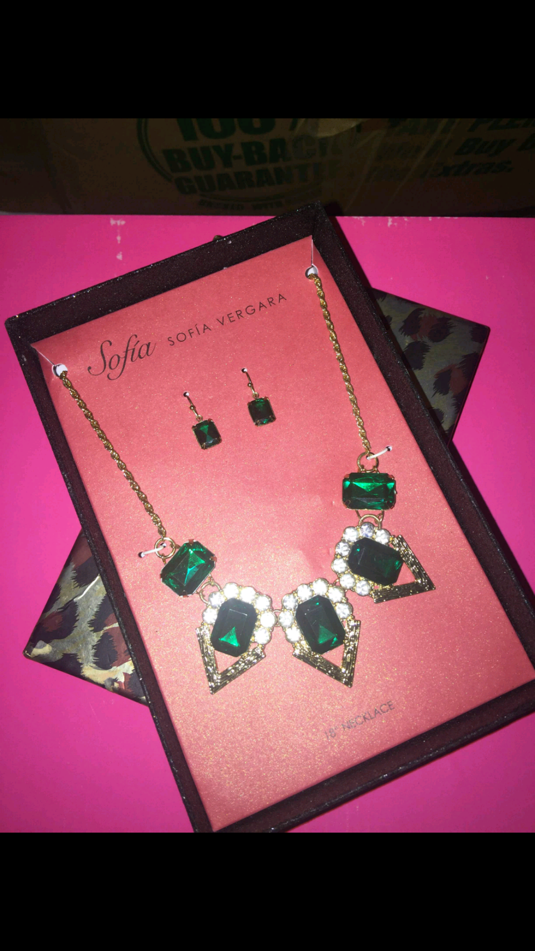 Sofia Vergara Jewelry Set (NEW)