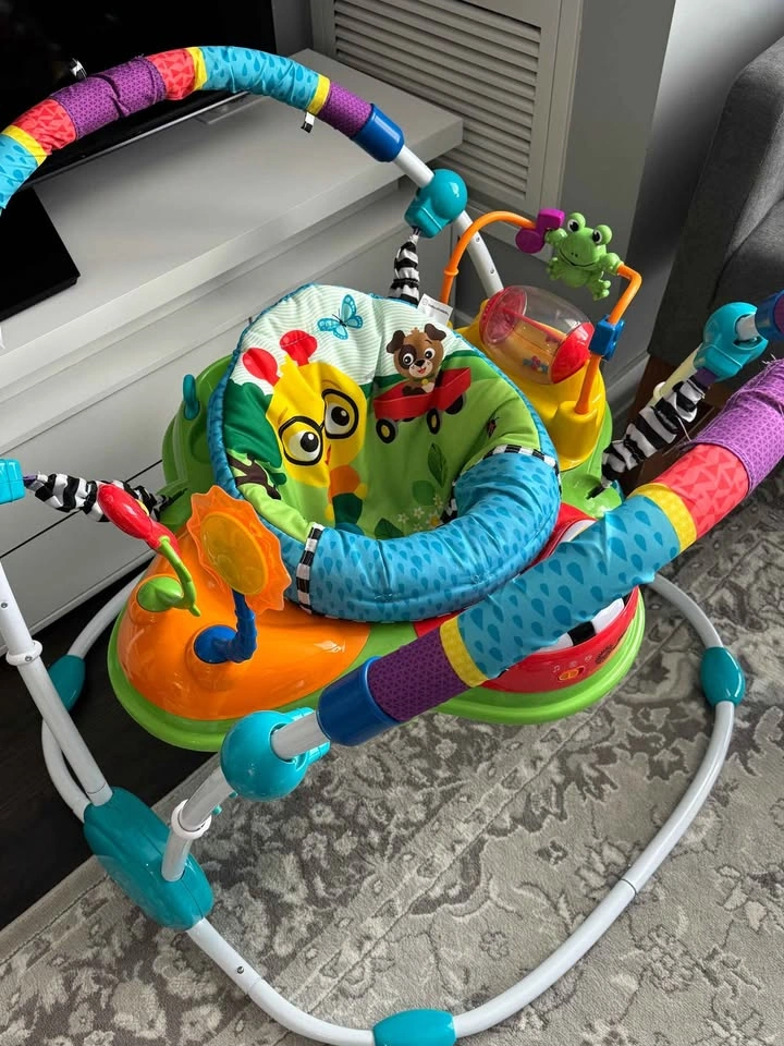 Baby Einstein Neighborhood Friends Activity Jumper - photo 5