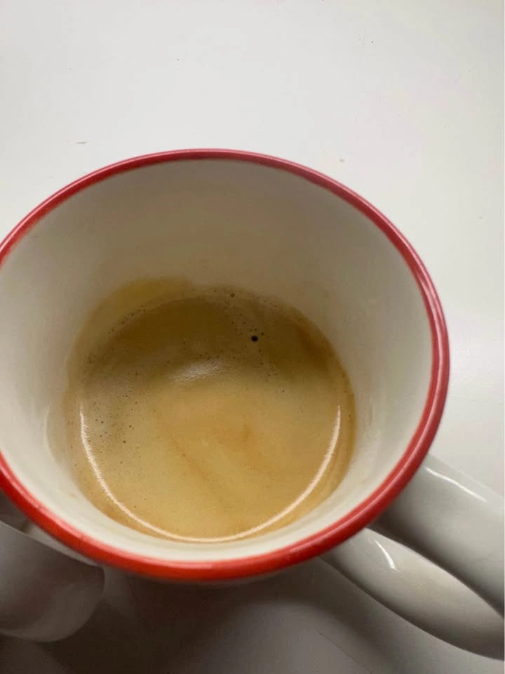 GAGGIA Brera Espresso Machine - photo 4