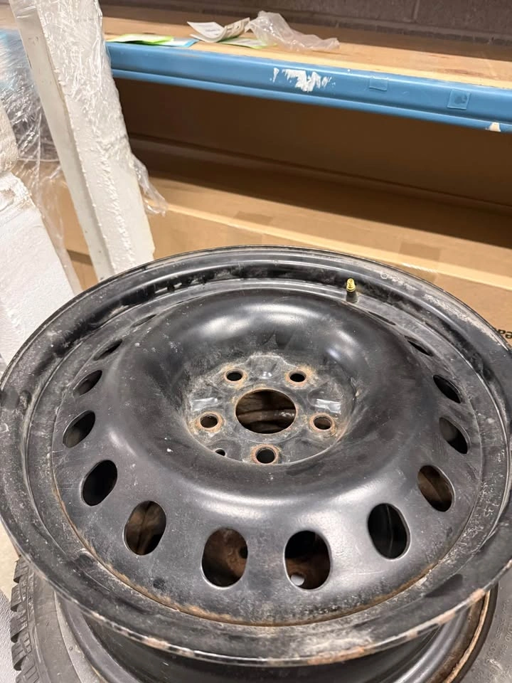 Toyota RAV4 Steel Wheels / Rims - photo 4