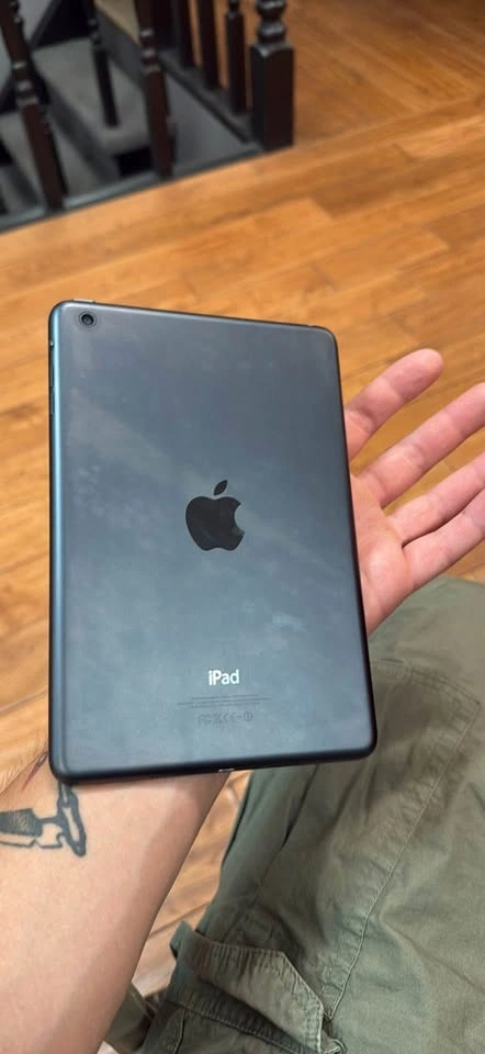 iPad Mini 2