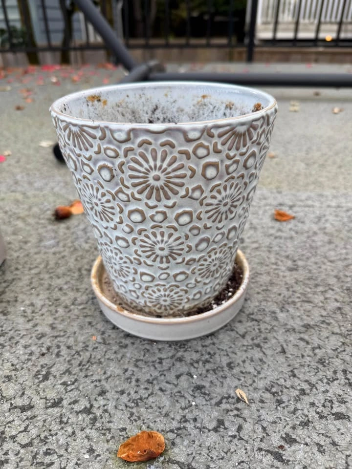 Plant pots - photo 4