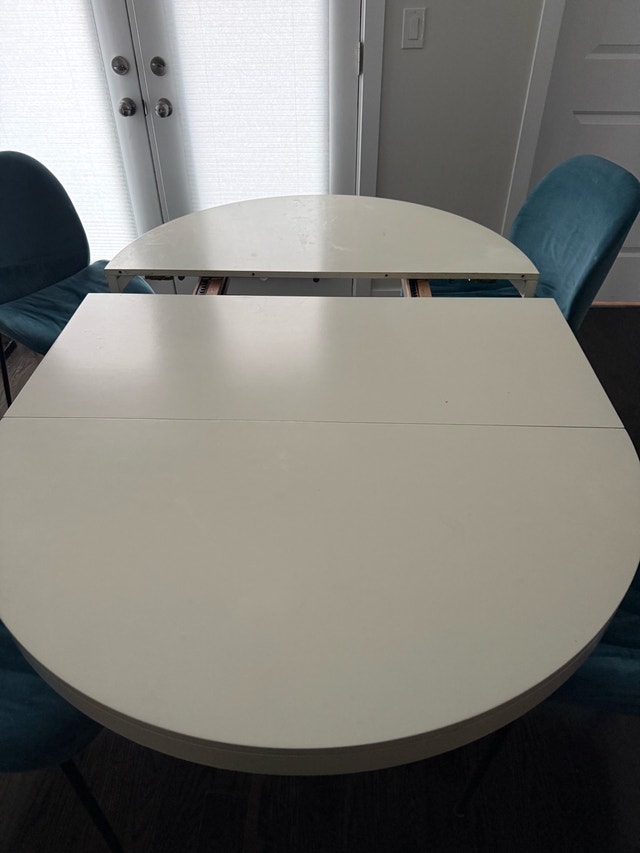 EQ3 Extendable Dining Table - photo 4