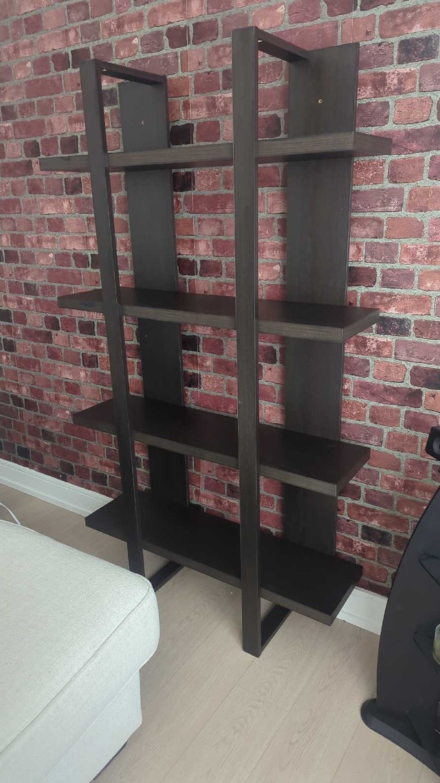 Ladder Book Shelf Unit