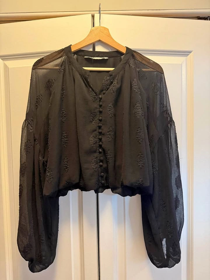 Zara Sheer Black Embroidered Top