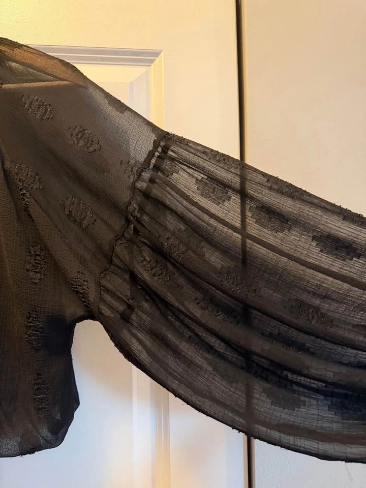 Zara Sheer Black Embroidered Top - photo 3
