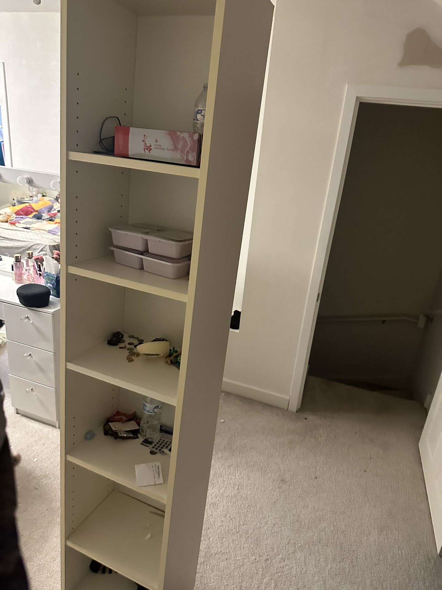 6 Shelf's Book Shelf