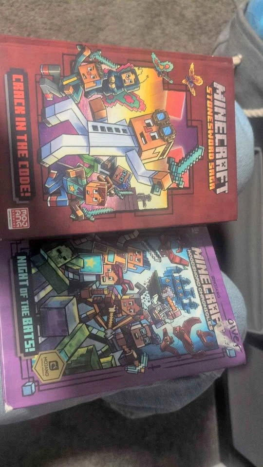 Minecraft Stonesword Saga & Woodsword Chronicles Books 1 & 2
