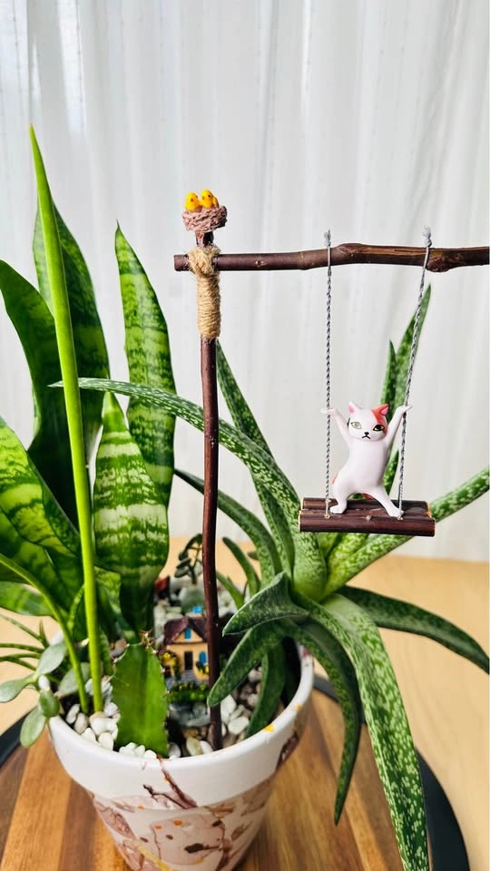 Hand made plant pot& low maintenance plant/ buy1 get 2nd 50% off - photo 2