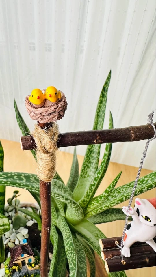 Hand made plant pot& low maintenance plant/ buy1 get 2nd 50% off - photo 3