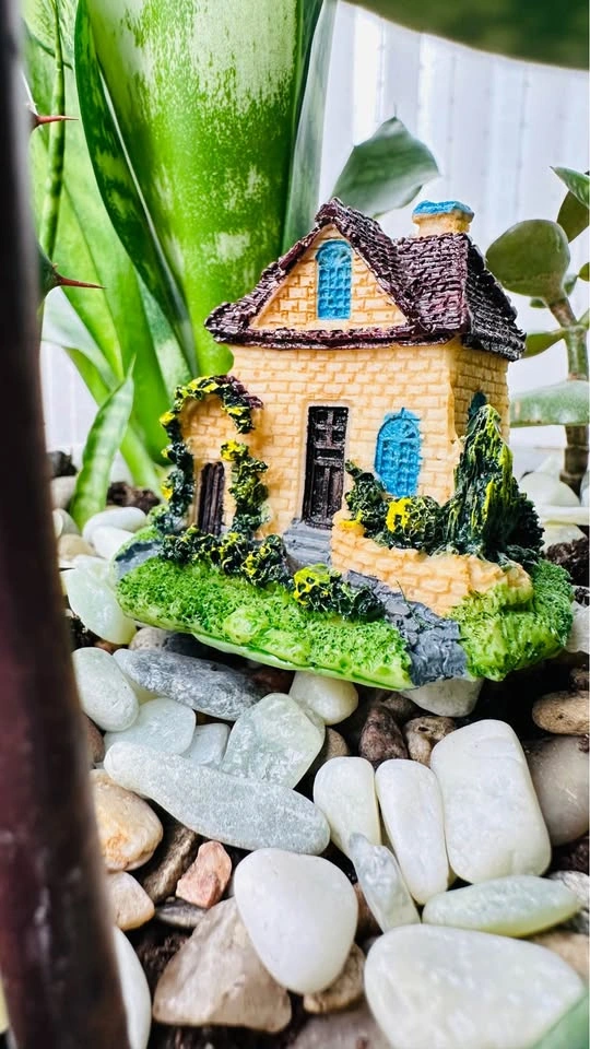 Hand made plant pot& low maintenance plant/ buy1 get 2nd 50% off - photo 4
