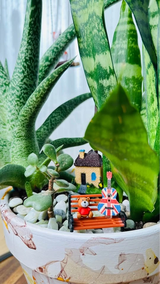 Hand made plant pot& low maintenance plant/ buy1 get 2nd 50% off - photo 5