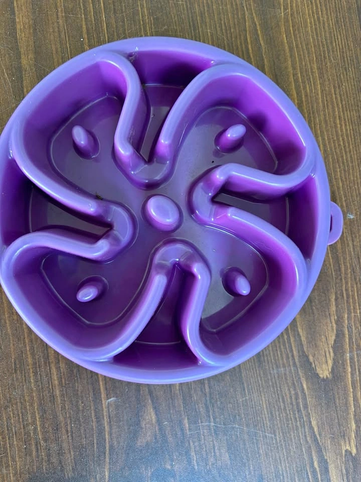 Slow feeder bowl