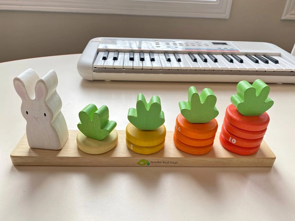 Tender Leaf Toys Counting Carrots