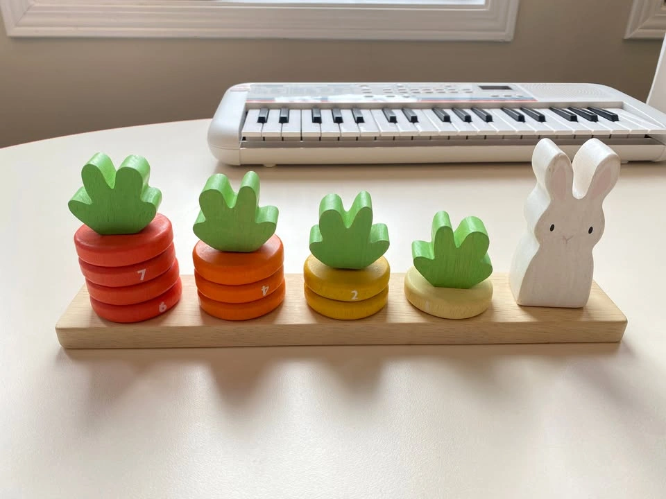 Tender Leaf Toys Counting Carrots - photo 3