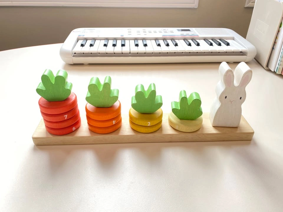 Tender Leaf Toys Counting Carrots - photo 4