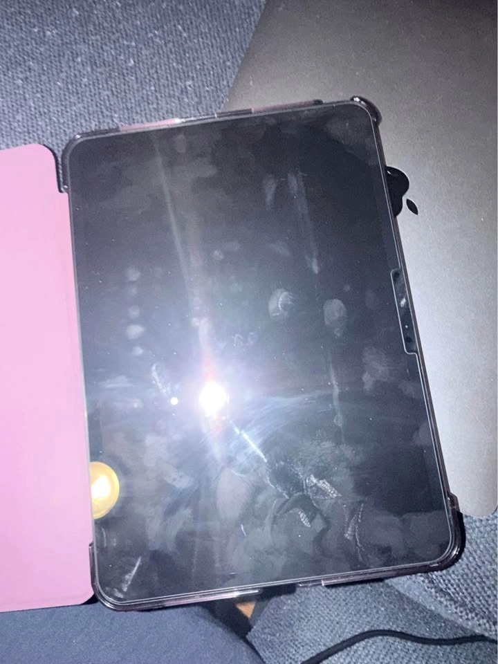 Apple iPad Pro 256GB w/applecare - photo 3