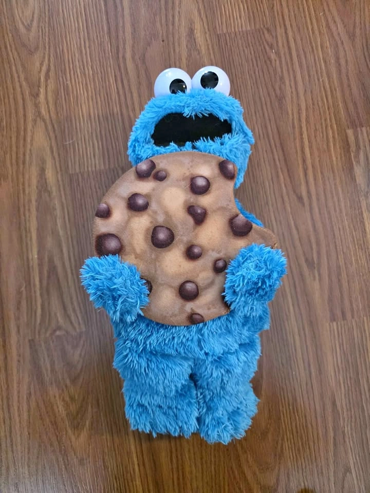 Peek a book Cookie Monster