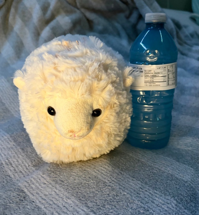 Plush Lamb