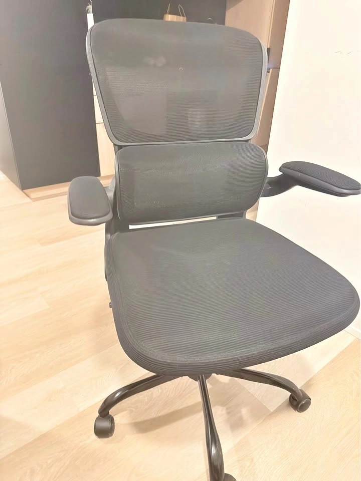 Adjustable Home/Office Chair