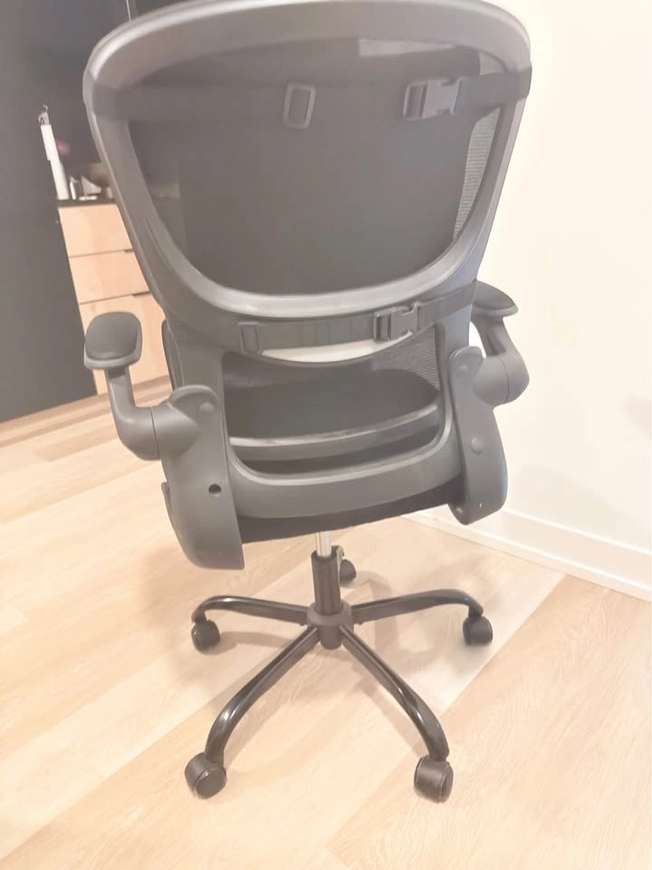 Adjustable Home/Office Chair - photo 2