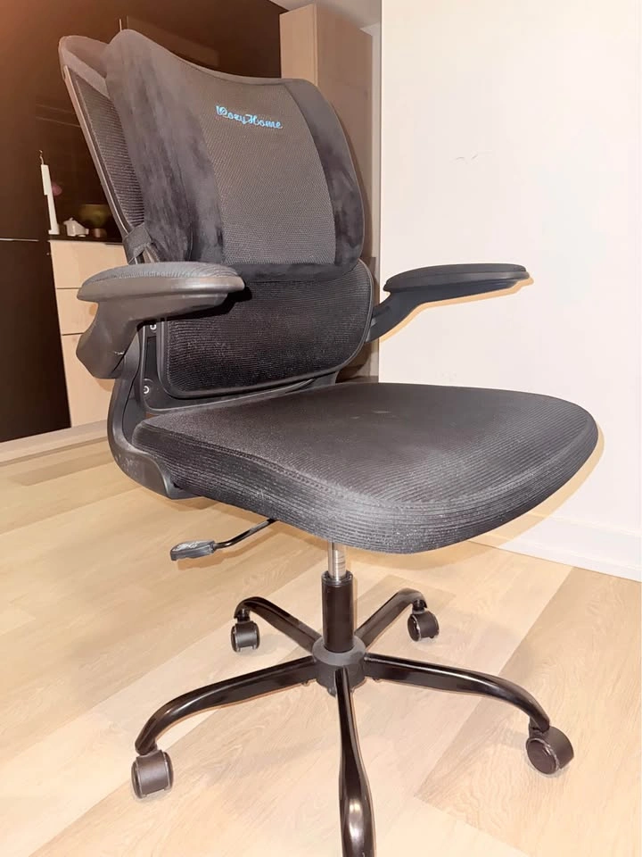 Adjustable Home/Office Chair - photo 3