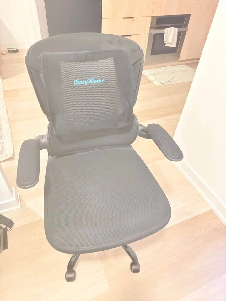 Adjustable Home/Office Chair - photo 4