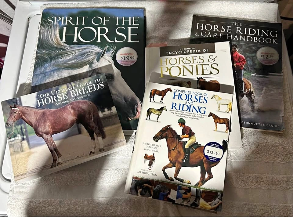 🐴 Horse Books – Set of 5 🐴