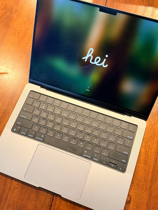 Apple MacBook Pro M1 Pro Chip - photo 3