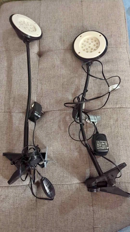 Clamp lamp lights