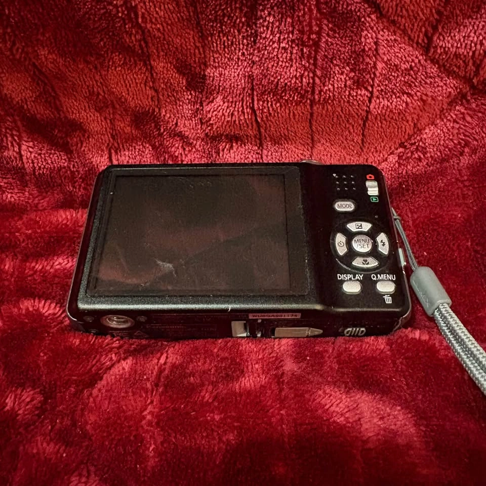 Panasonic Lumix DMC-FH20 Working Camera - photo 2