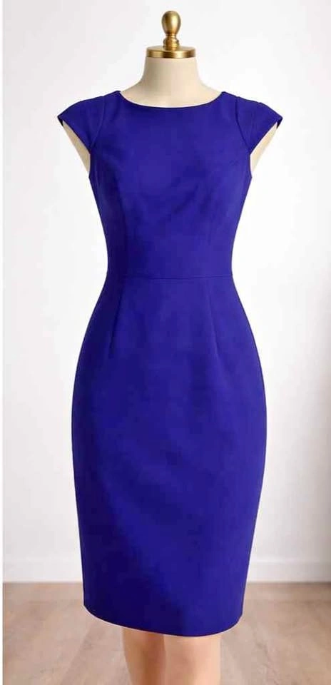 Hugo Boss Royal Blue Dress (Never Worn)