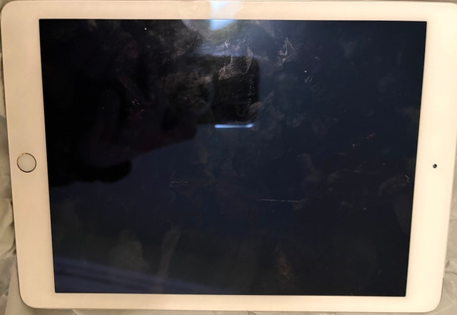 iPad Air 2 Gold 128 GB - Wifi + Cellular - Mint
