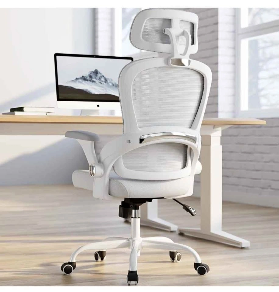 Ergonomic Office Chair with Back Support - White