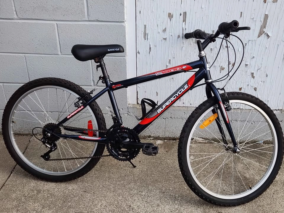 Supercycle SG1500 Mountain Bike - photo 4
