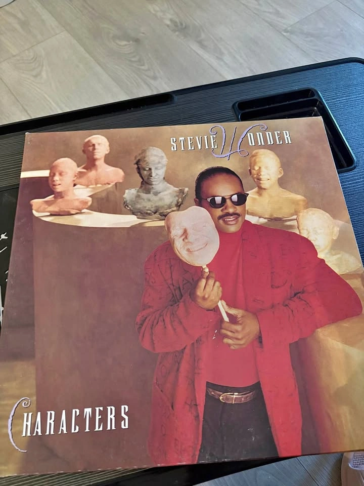 Stevie Wonder Character Vinyl